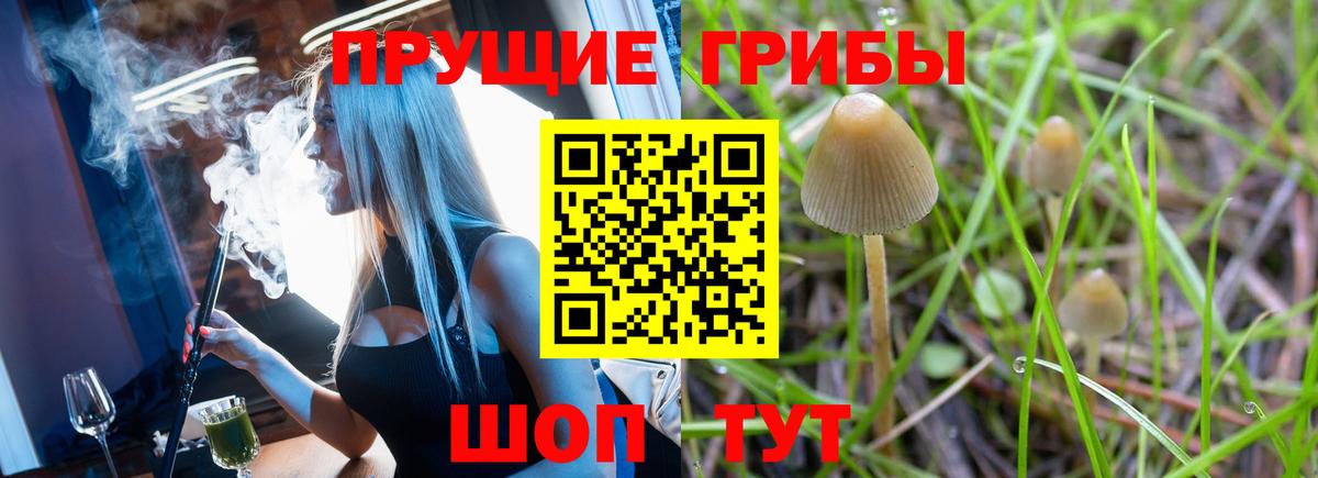 Галлюциногенные грибы Cubensis Королёв