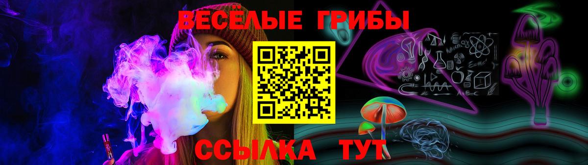 Галлюциногенные грибы MAGIC MUSHROOMS  Галлюциногенные грибы Psilocybine cubensis  Вход с VPN  Королёв 